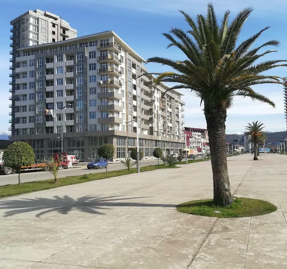 Улица Джули Шартава 22 Hotel Batumi